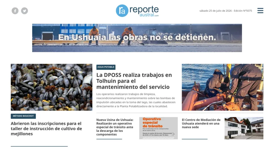 Captura de Reporte Austral