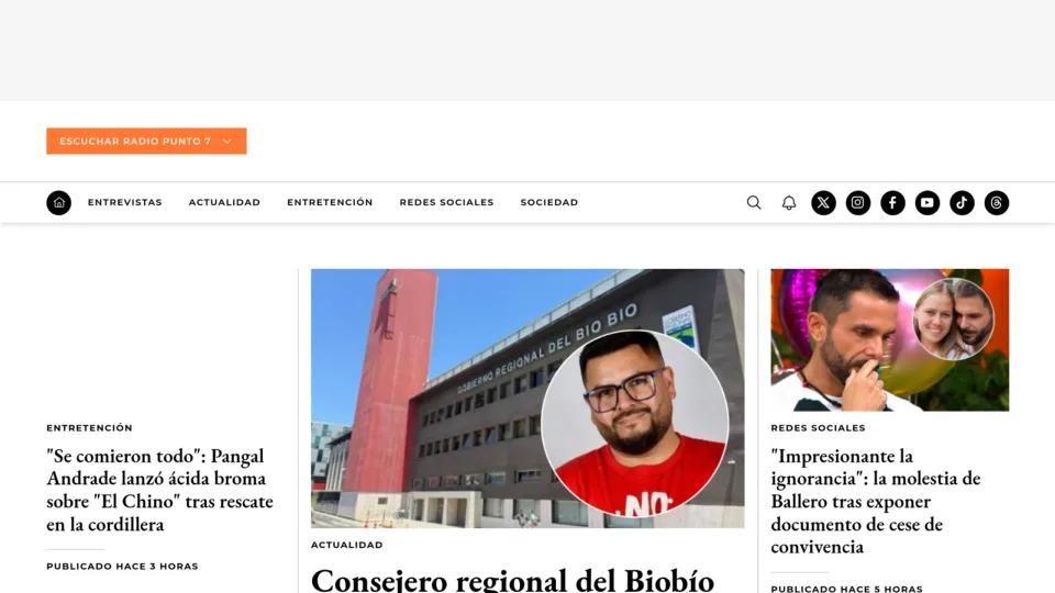 Captura de Página 7