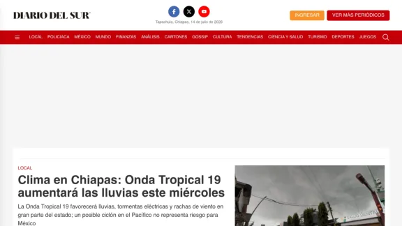 Captura de Diario del Sur